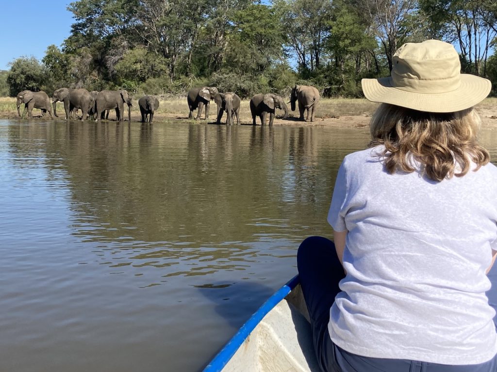 Canoe Eles 3 reduced