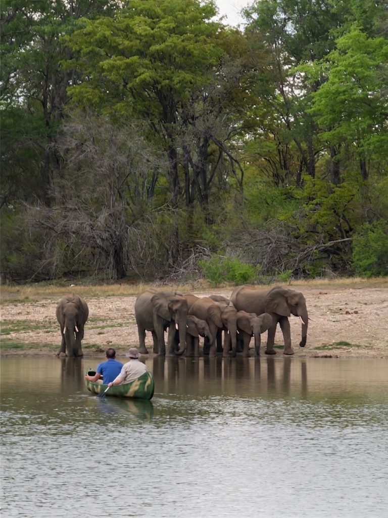 Canoe & Eles Reduced